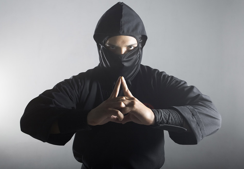 ninja-1529359142997.jpg