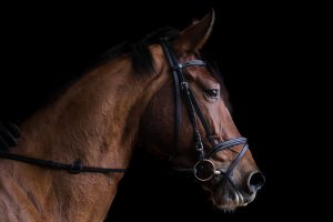 marylou-salon-538787-unsplash-300x200.jpg