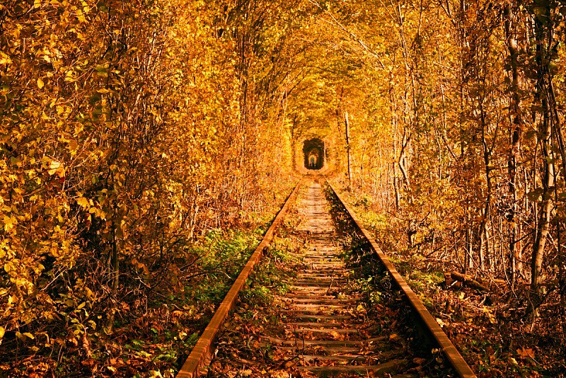 Tunnel-of-Love-Ukraine-autumn.jpg