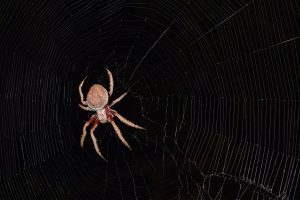 andrew-rate-758986-unsplash-300x200.jpg