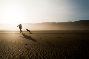 beach-863139-300x200.jpg