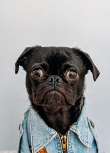 charles-deluvio-550068-unsplash-215x300.jpg