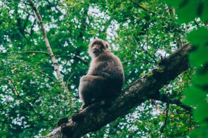 lewis-roberts-457034-unsplash-300x200.jpg