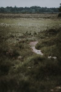 annie-spratt-707833-unsplash-1-200x300.jpg
