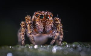 ekamelev-757282-unsplash-300x185.jpg