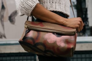 purse-1031547-300x200.jpg