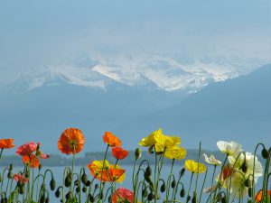 switzerland-168003-300x225.jpg