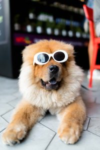 alan-king-380383-unsplash-1-200x300.jpg