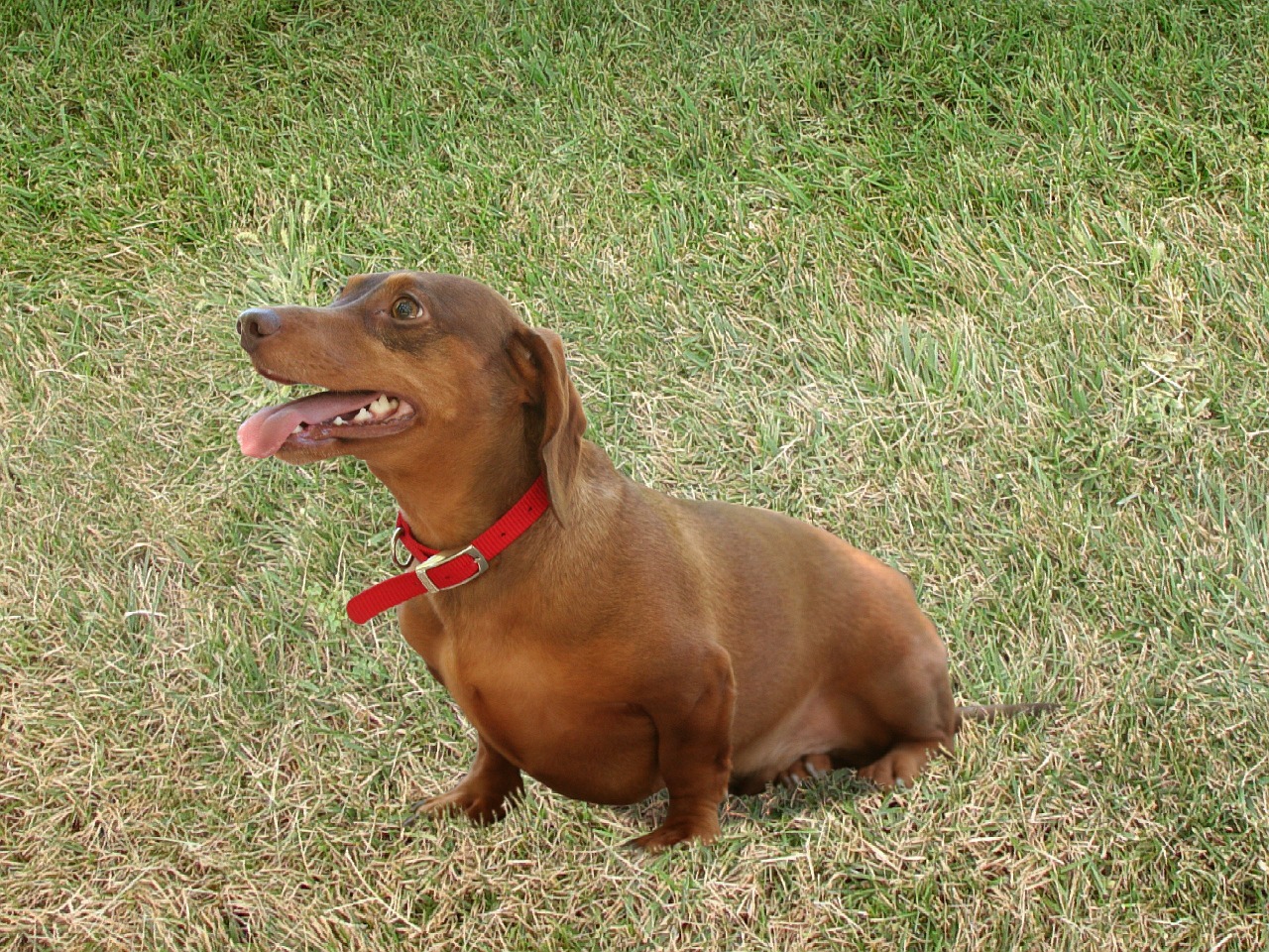 animal24-1536572477416.jpg