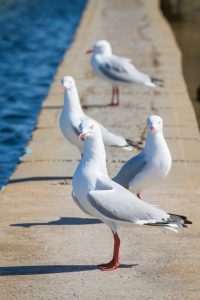 holger-link-764152-unsplash-200x300.jpg