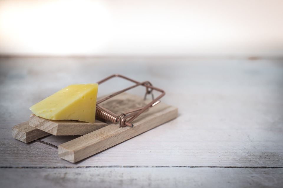 mouse-trap-2846147_960_720-1536423169360.jpg