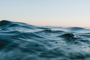 matt-hardy-562566-unsplash-300x200.jpg