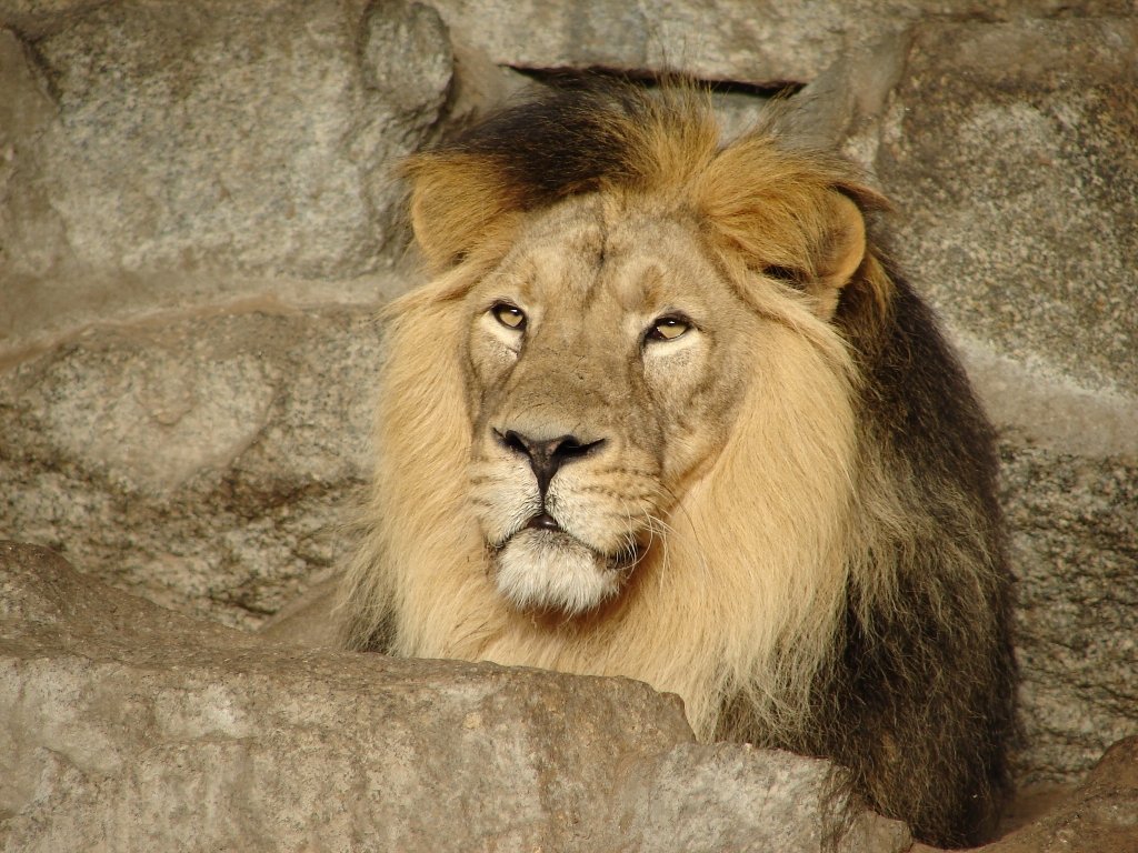 tierpark_06_034-1539645352617.jpg