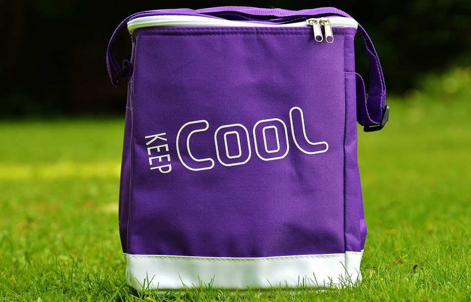 cooler-bag-819092_960_720-1542378619576.jpg