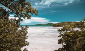 vitaly-sacred-1120010-unsplash-300x181.jpg