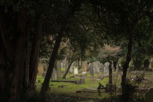 eddie-howell-606929-unsplash-300x200.jpg