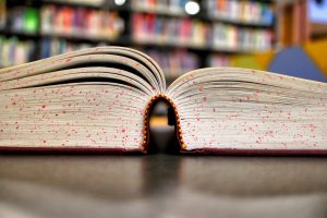 study_studying_book_education_university_college_knowledge_learn-730924-1544823912395-300x200.jpg
