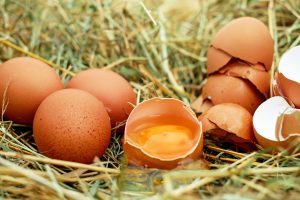 egg-1510449-300x200.jpg