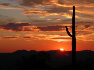 arizona-113684-300x225.jpg