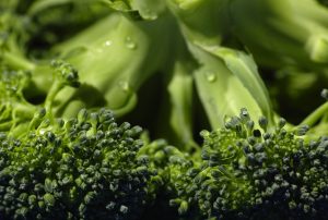 broccoli-1792236-300x202.jpg