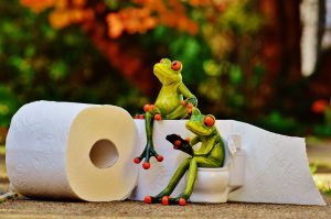 frog-1037714-300x199.jpg