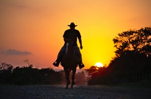 horse-3258001-300x196.jpg