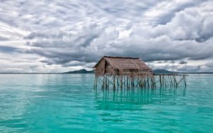 the-shallow-sea-2261726-300x188.jpg