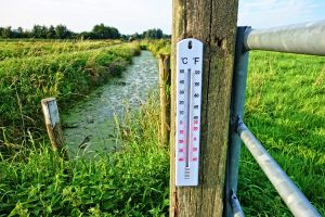 thermometer-2906817-300x200.jpg