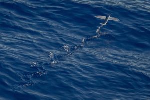 water-731338-300x200.jpg