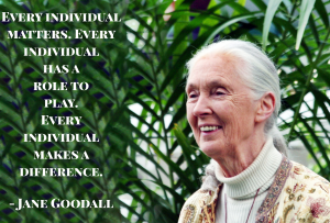IMG_7110-300x203.png