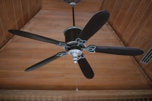 electric-fan-414575-300x200.jpg