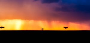 kenya-2530162-300x143.jpg
