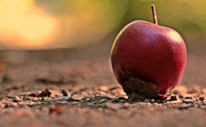 apple-3739227-300x185.jpg