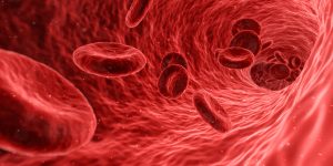 blood-1813410-300x150.jpg