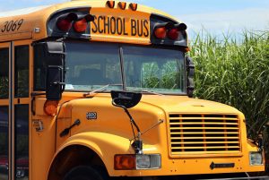 school-bus-4406479_1920-300x201.jpg