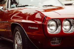 firebird-984090-300x200.jpg