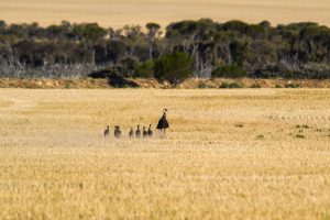 germane-jaws-glVI1_wclqY-unsplash-300x200.jpg