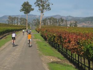 800px-Bay_Trail_in_Napa_County-300x225.jpg