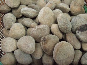 800px-Pangium_edule_seeds-300x225.jpeg
