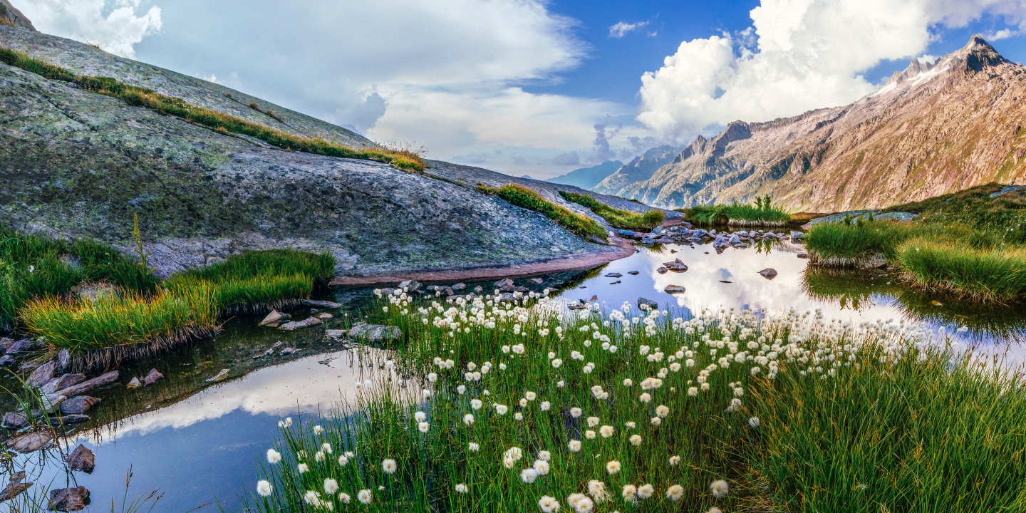 switzerland featured