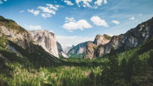 mathieu-olivares-teEw39zg1UI-unsplash-300x170.jpg