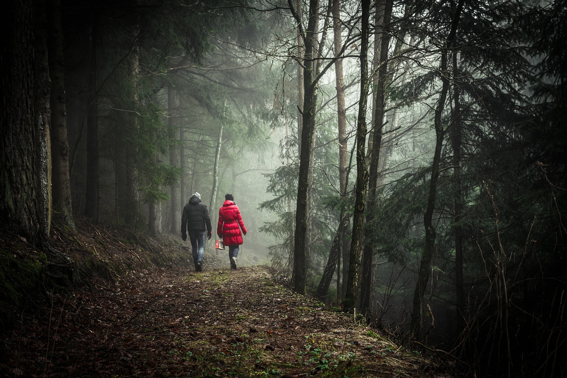 walking-1149747_1920.jpg