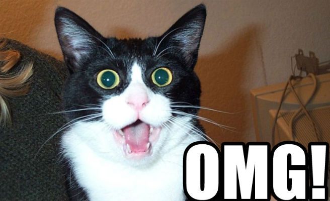 Trashiest Things Parents Do facts