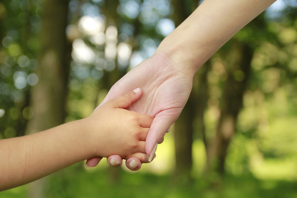 Legal Disasters Facts