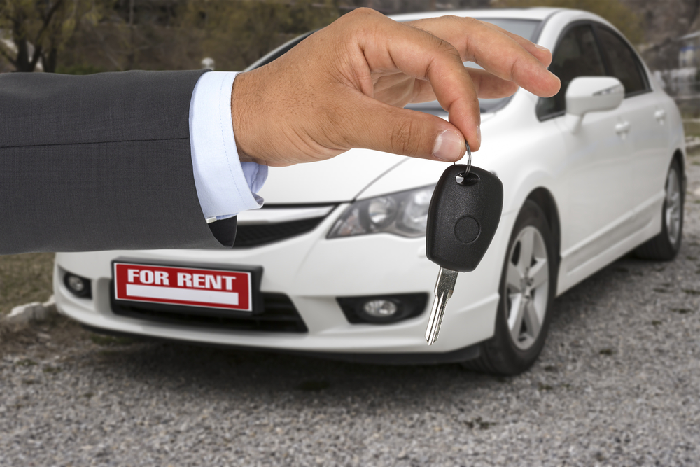 Ruined Jerk's Day Facts