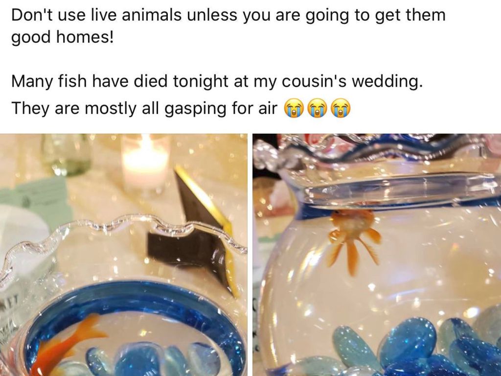 Wedding-Moments-Totally-Cringeworthy-08.jpg.optimal.jpg