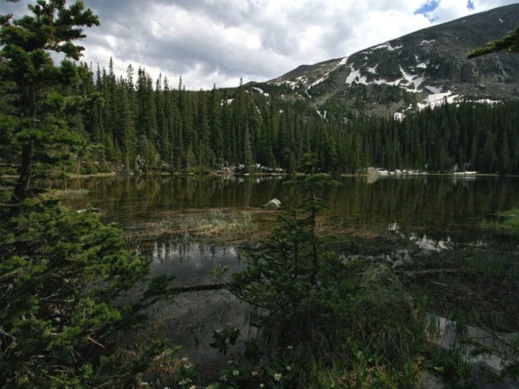 resize1080px-Ouzellake-768x512-1.jpg.optimal.jpg