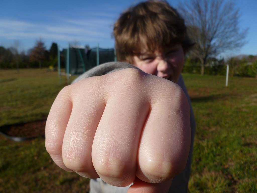 resize1_fist-bump-933916_960_720.jpg.optimal.jpg