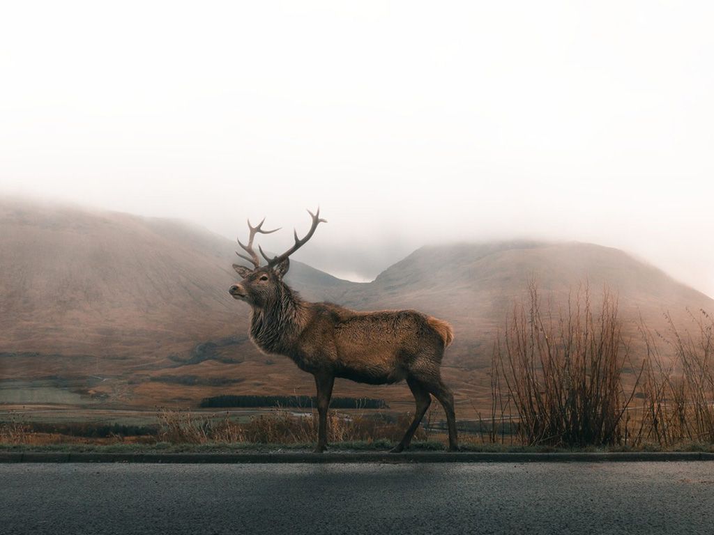 resizeasa-rodger-B8xmtKWLrVo-unsplash-1-1536x1024-1.jpg.optimal.jpg