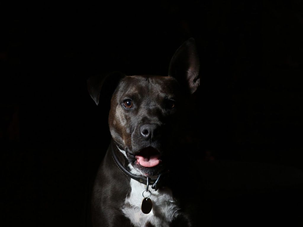 resizejaclyn-clark-UzO4kgBMCv4-unsplash-1536x1024-1.jpg.optimal.jpg